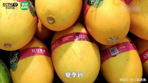 吃瓜蜜瓜嗓子,吃瓜蜜瓜,嗓子畅快一夏