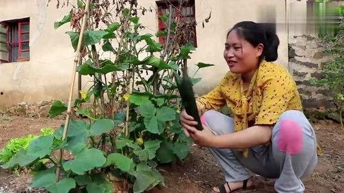 跟着胖妹有瓜吃,尽享生活乐趣