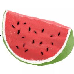 吃瓜不用说话,无需多言,尽享娱乐盛宴