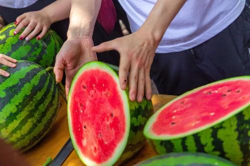 宁夏大学吃瓜视频,揭秘校园生活趣味瞬间