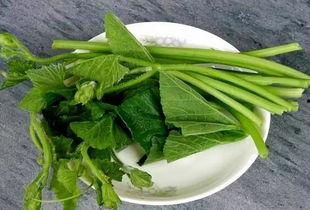 柳州吃瓜投稿,揭秘当地特色美食背后的故事