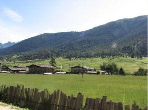 西藏旅游吃瓜,探寻高原美食的独特风味