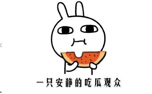 吃头瓜什么意思,传统习俗背后的文化内涵